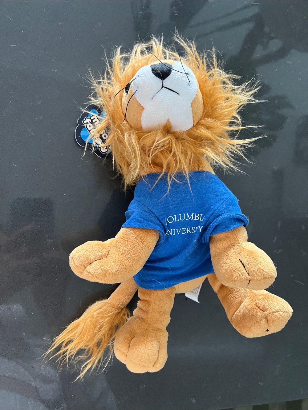 Columbia University Plush Lion Stuffed Mascot- mascot factory
